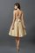 Prinzessin Ärmelloses Trägerloser Ausschnitt Taft Mini Brautjungfernkleid - Bild 30