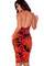 Orange Rot Drucken Verband Kleid Club Kleider - Bild 2