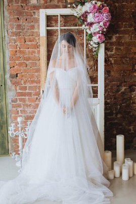 Herz-Ausschnitt Ärmellos Romantisches Brautkleid aus Tüll mit Gericht Schleppe