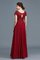 Prinzessin Chiffon Normale Taille V-Ausschnitt Bodenlanges Brautmutterkleid - Bild 2