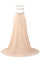 Reißverschluss Gericht Schleppe Halle Sexy Bodenlanges Ballkleid mit V-Ausschnitt - Bild 5