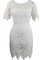 Elegant Ausschnitt Bodycon kleider Bateau Frau Spitze Club Kleider - Bild 1