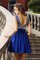 Chiffon Prinzessin Schaufel-Ausschnitt Reißverschluss Cocktailkleid mit Applike - Bild 2