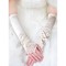 Satin Elegant|Bescheiden Elfenbein Elegant|Bescheiden Brauthandschuhe - Bild 1