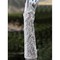 Taft Perlenstickerei Weiß Luxuriös Brauthandschuhe - Bild 1