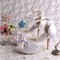 Plattform Tatsächliche Absatzhöhe 3.94 Zoll Sexy High Heels Hochzeitsschuhe - Bild 4