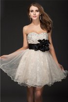 A Linie Normale Taille Organza Prinzessin Reißverschluss Cocktailkleid