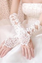 Satin Spitze Saum Elfenbein Elegant|Bescheiden Brauthandschuhe